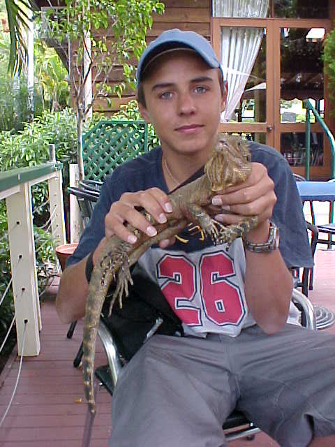 dragon33.jpg